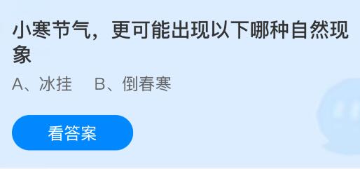 小寒节气更可能出现以下哪种自然现象？蚂蚁庄园课堂今天答案最新1月5日