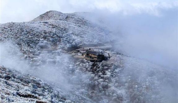 Ԫ��ͽ���Ǹߣ�������������ɽӭ2026���׳���ڡ