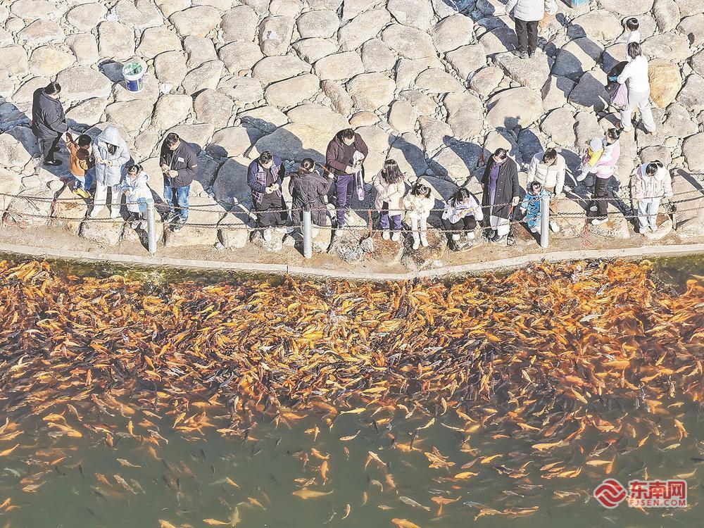 人鱼同乐 水清岸美