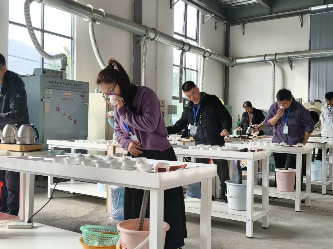 永春首届“一叶一问”杯闽南水仙茶品评交流赛落幕