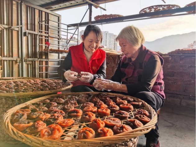 平安产险泉州中心支公司：志愿红映丰收柿 平安情暖乡村路