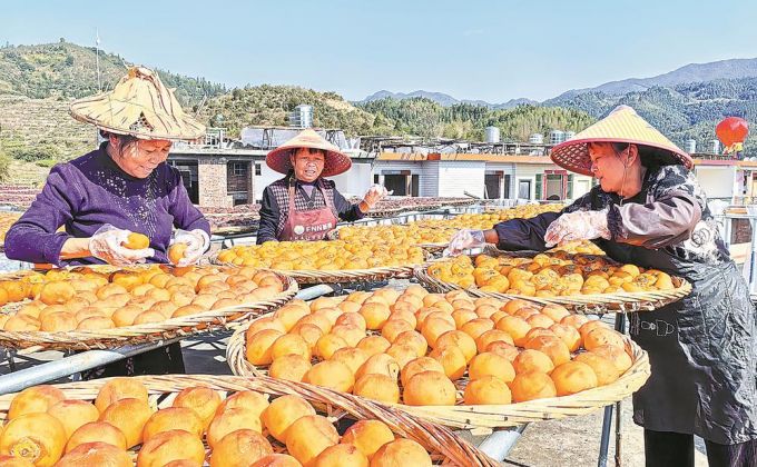 永春：柿饼飘香日子甜
