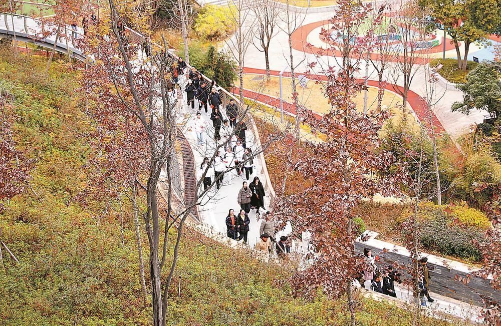 南平：新年步步高