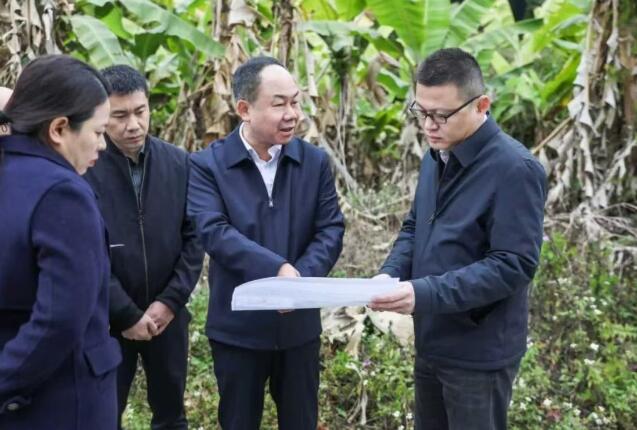 芗城区领导调研金峰开发区基础设施建设情况