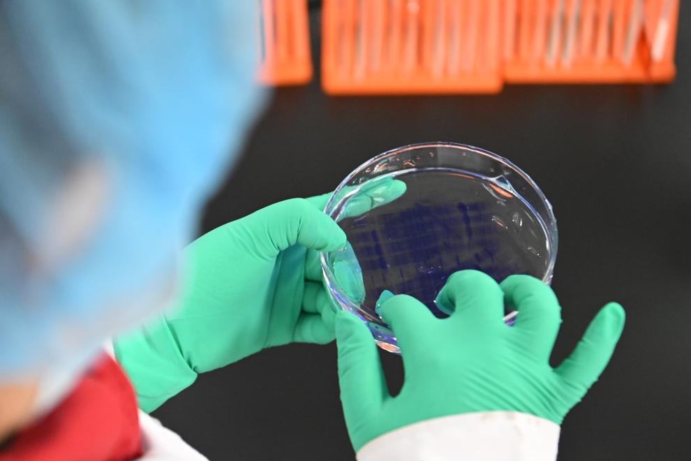 用药利好事关你我！国家医保药品“清单”一览