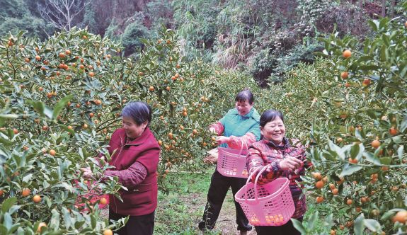 ����ɳ�أ����Ʈ���ժæ