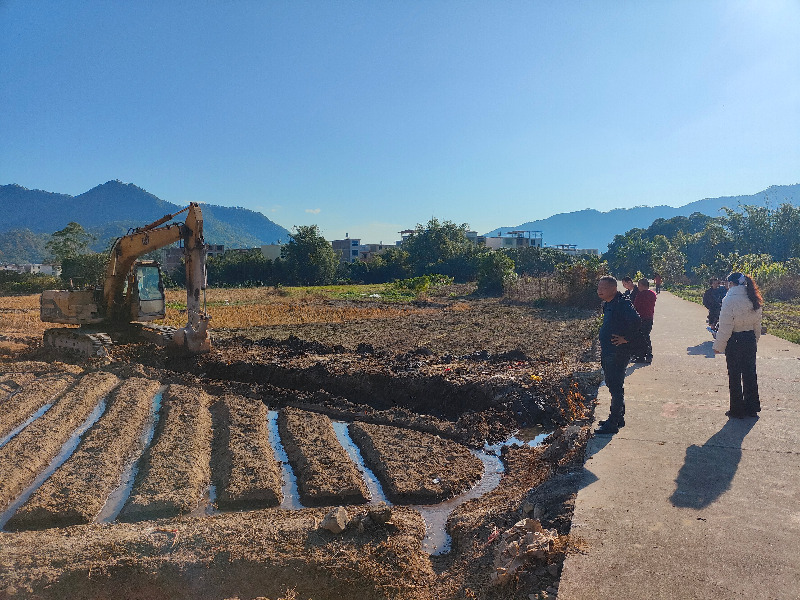 平和大溪：高标准农田建设加速 夯实现代农业根基