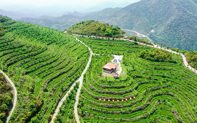 税助绿色发展 安溪绘就“两山”新篇