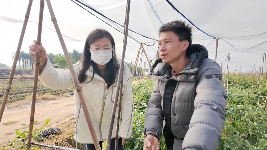 低温来袭！漳浦农技人员田间 “把脉” 护生产