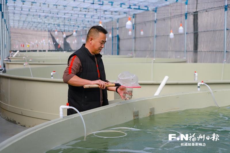 福州乡村奏响冬日&ldquo;富民曲&rdquo;