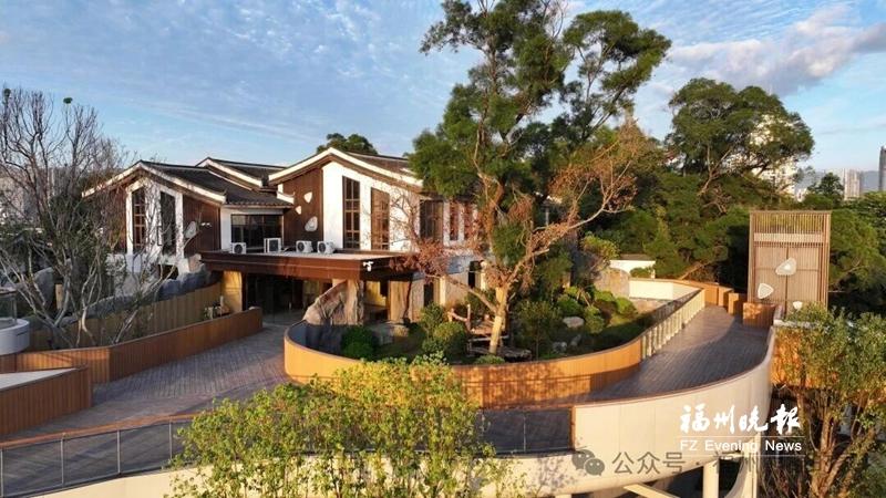 福州熊猫世界空中栈道亮相 3个角度带你解锁&ldquo;熊猫之家&rdquo;