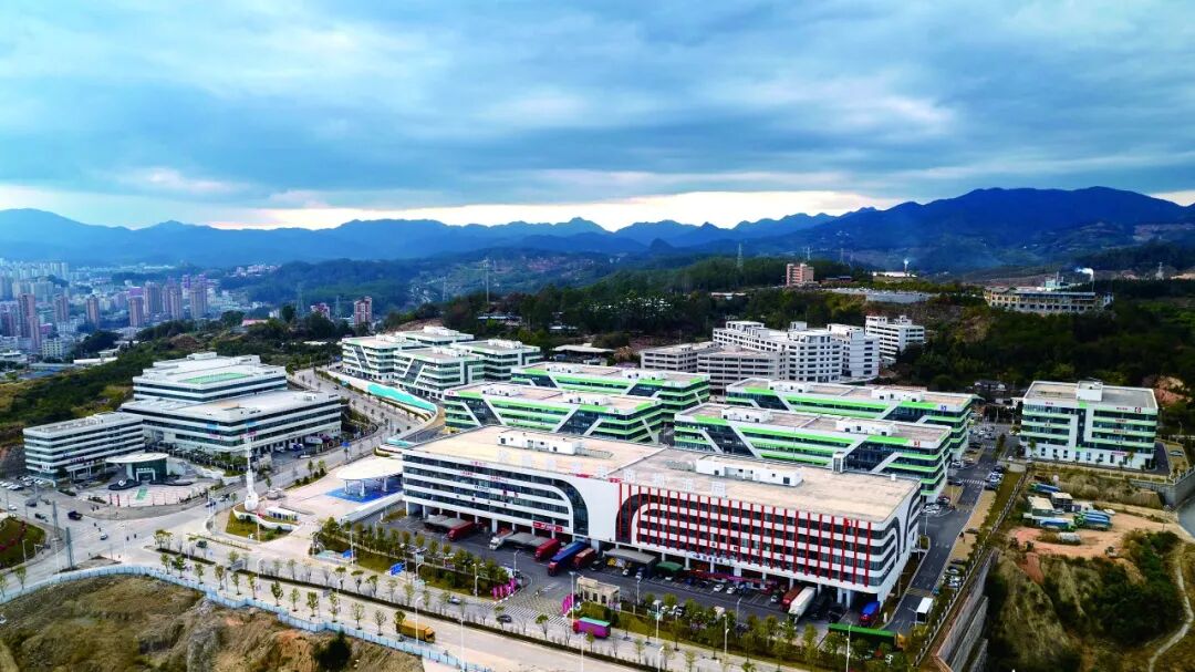 多维赋能强根基 内外并举拓新局——德化县以“组合拳”激活内外贸高质量发展新动能