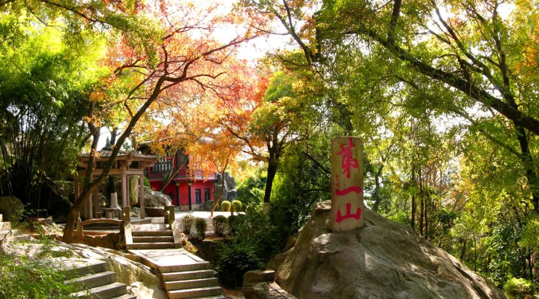 清源山上的枫树叶子红了