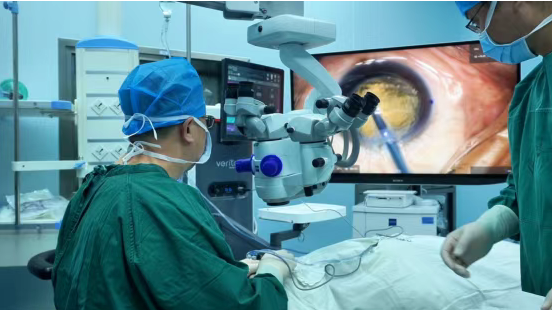 31b328e1-25ef-4b18-9070-ab57b1f2740b