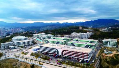 多维赋能强根基 内外并举拓新局——德化县以“组合拳”激活内外贸高质量发展新动能