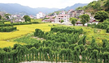 安溪长卿山格淮山“三级跳” 跃出乡村振兴新路径