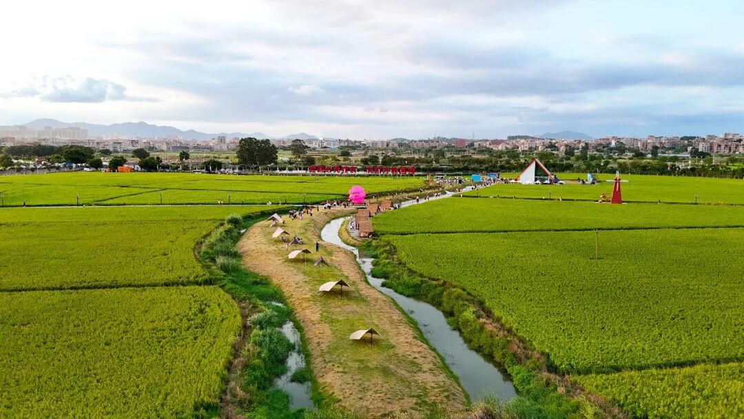 水清岸绿景美！南安水头大盈溪综合治理成效显著
