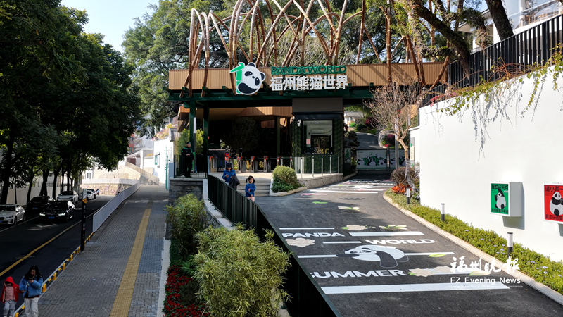 福州熊猫世界周六12时开放 门票价格公布