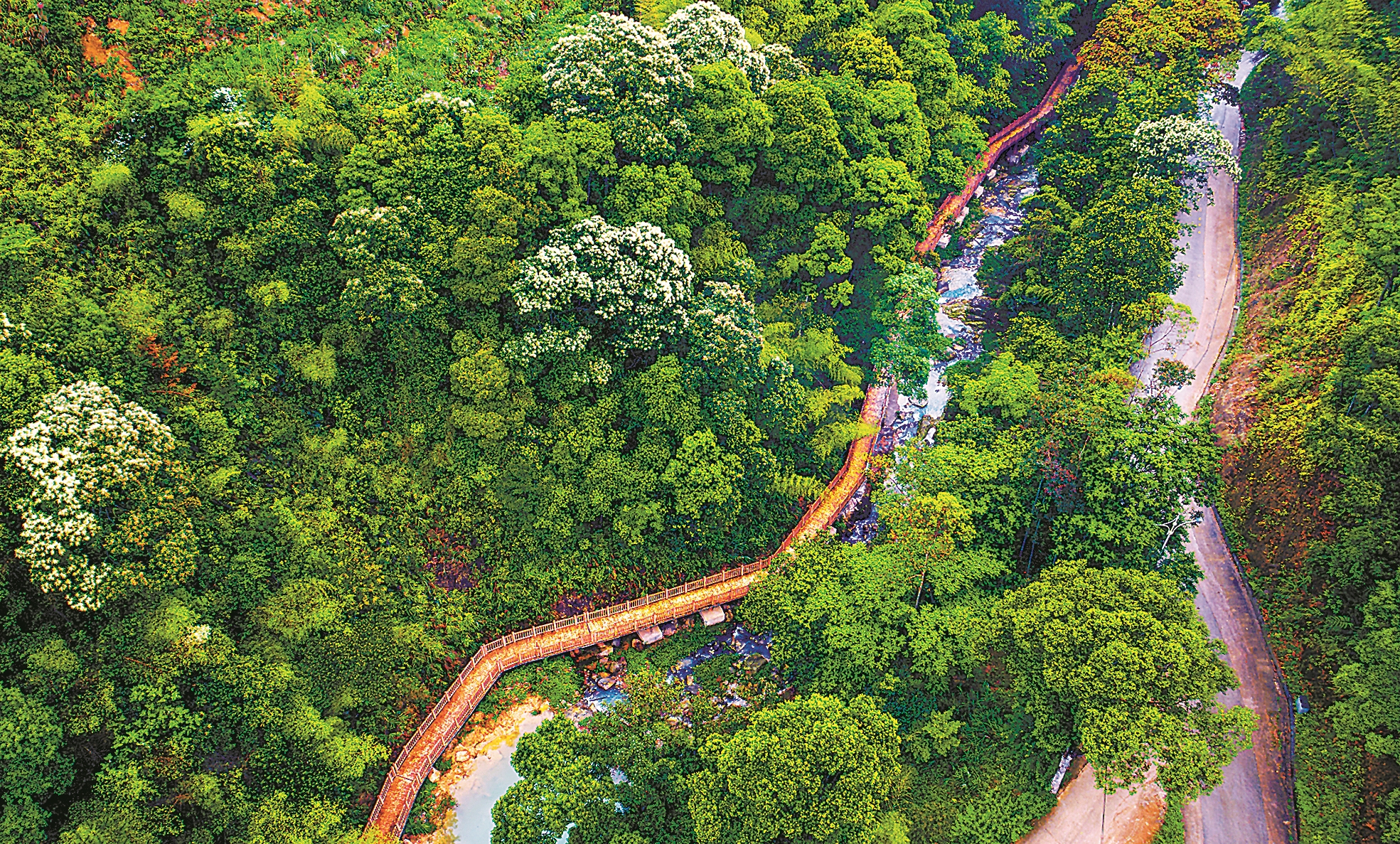 平和一个小山村的逆袭之路