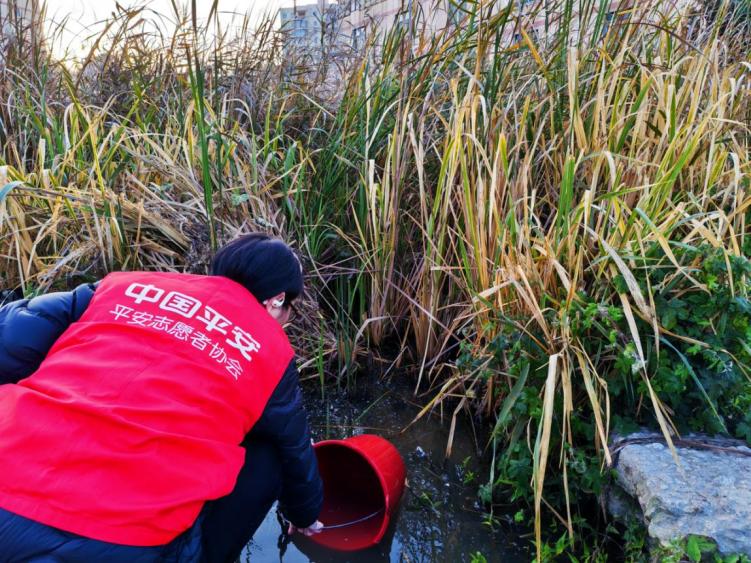 平安产险泉州中心支公司：沃土润心田 平安送福来