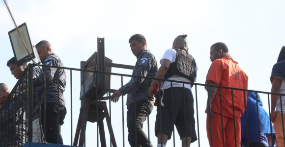 Σ����������ɧ������������̬ ȫ��ͣ��һ��