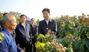 ������ί���һ�߿�չ��������������ũҵ������ˮ�����蹤��