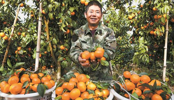 ������ƽ���̷ָ���