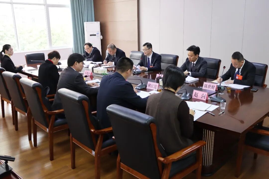 显担当，群策群力谱新篇！洛江区人大代表这样说