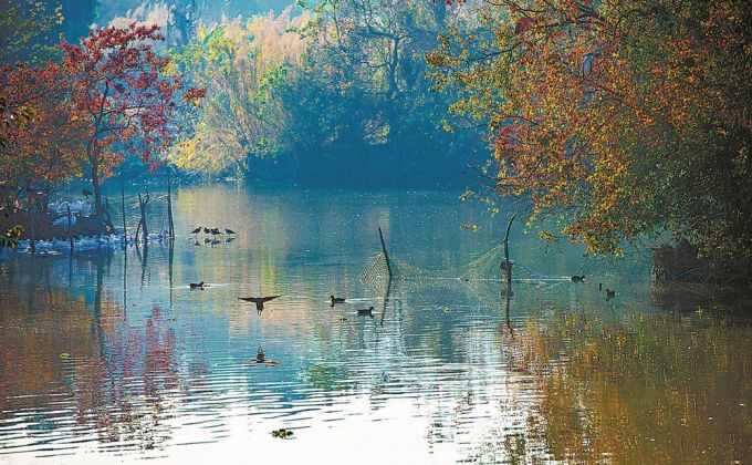 惠安：碧波澄澈 水鸟翔集