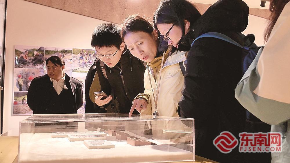 走，去政和“敲化石”