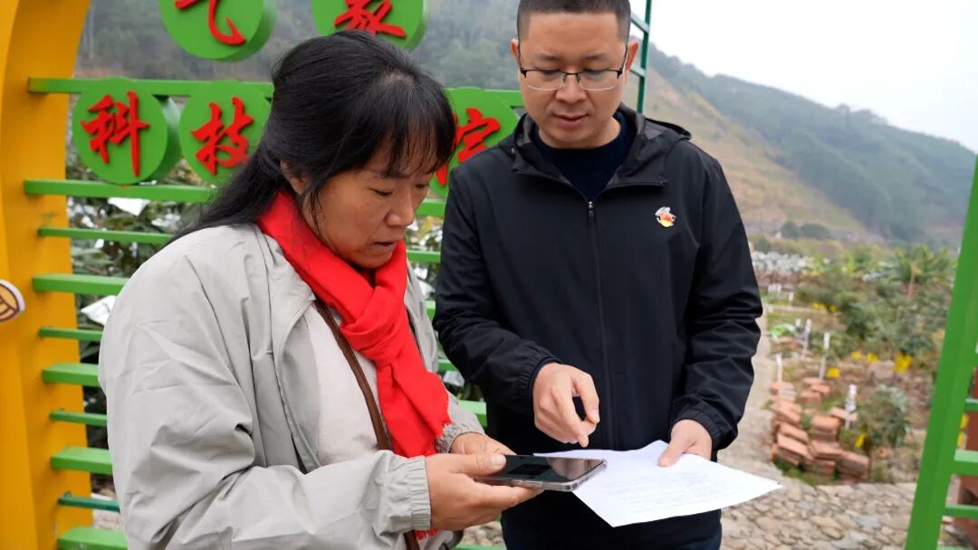 乡村全面振兴丨云霄，枇杷产业有了“贴心管家”！