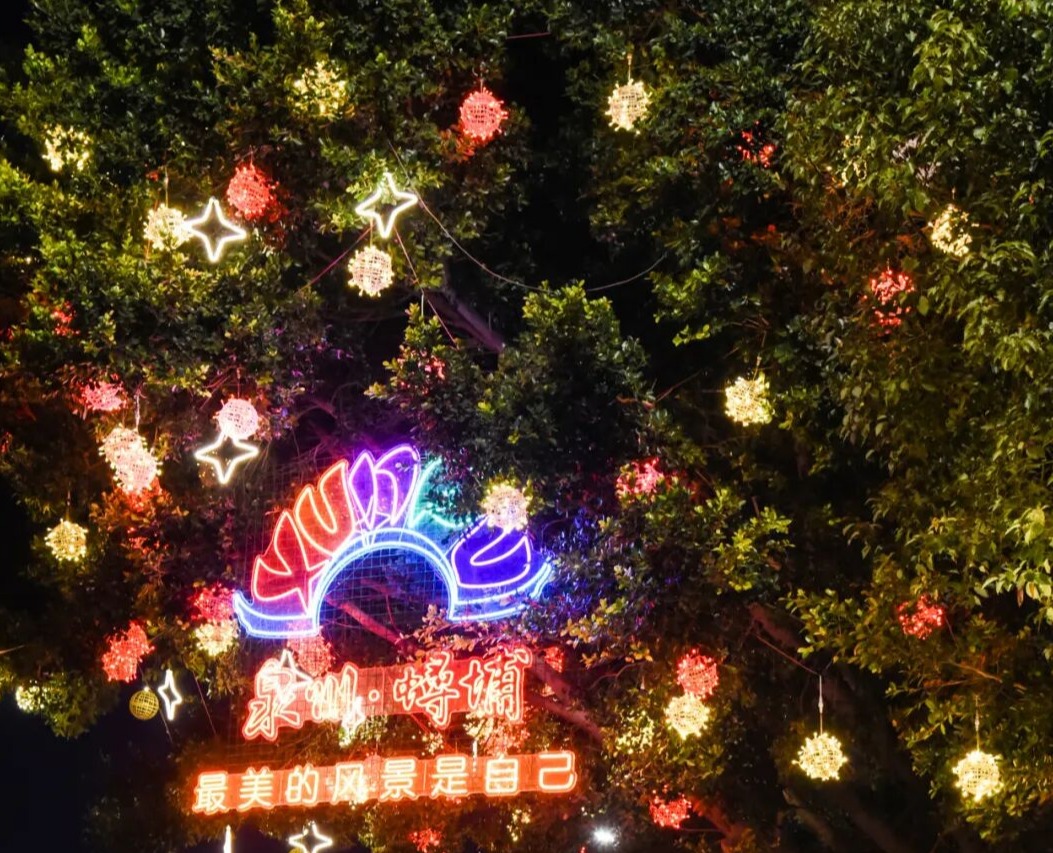 丰泽：灯亮了，灯笼红了！年味渐浓了