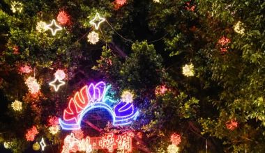 豐澤：燈亮了，燈籠紅了！年味漸濃了