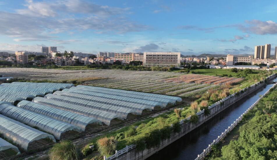 QQ截图20260123192151