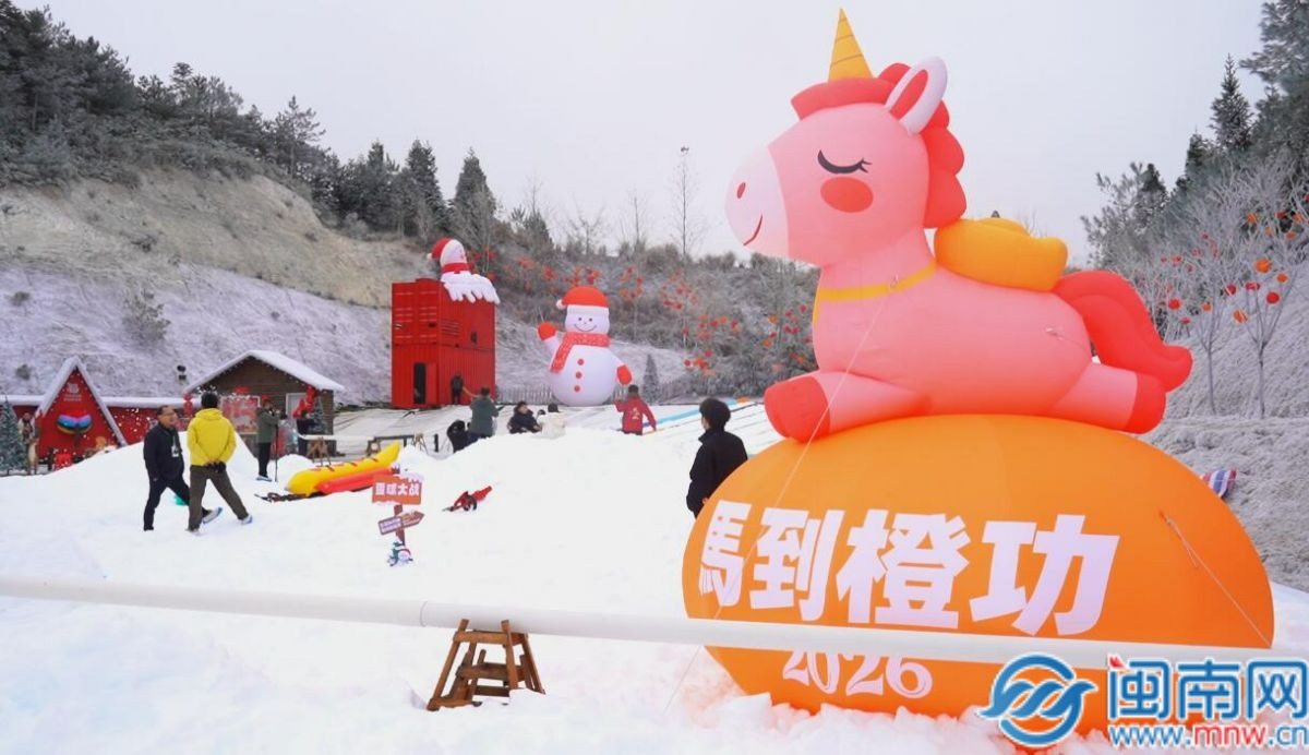 QQ截图20260123202641