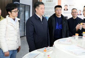 鯉城區(qū)主要領(lǐng)導(dǎo)帶隊調(diào)研南環(huán)路業(yè)態(tài)分布情況