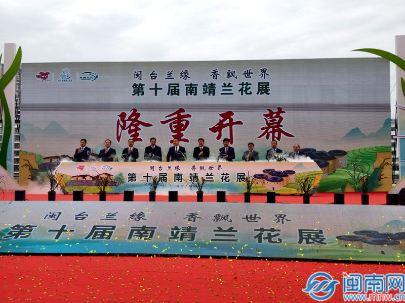 展出精品国兰1000多盆 第十届南靖兰花展开幕！