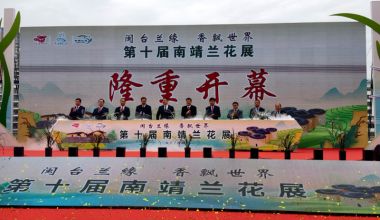 展出精品國(guó)蘭1000多盆 第十屆南靖蘭花展開(kāi)幕！