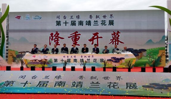 展出精品國蘭1000多盆 第十屆南靖蘭花展開幕！