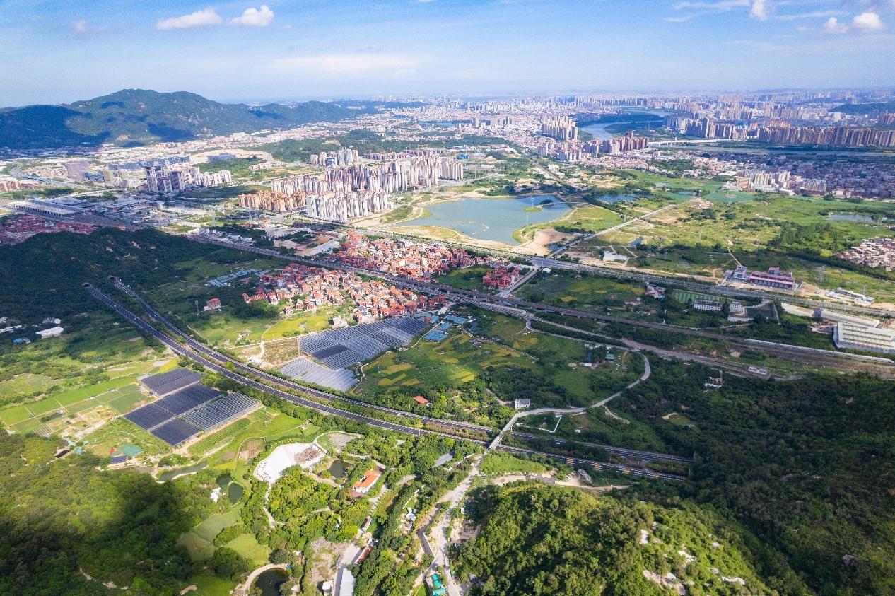 “丰”华五载启新程④丨南安丰州：生态振兴提质 绿美共生惠民 绘就“丰”饶画卷