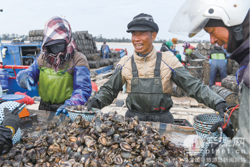 平潭奏响海上耕耘曲 鲍鱼“分班”住“新家”