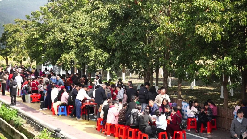 来长泰过大年丨体验坂里韭田长桌宴