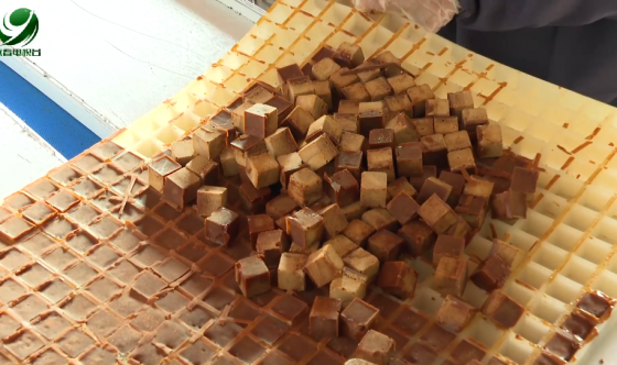 千畝蔗海藏 “甜蜜”！永春古法紅糖成村民致富金鑰匙