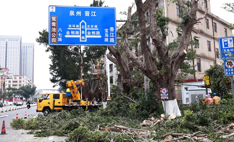 21米高空车“矫正”行道树树冠