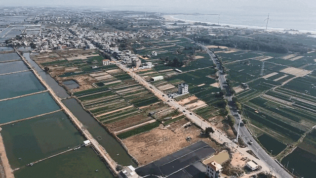 20260123六鳌镇龙美村：拆杂乱拓美观 村道整治见成效20261281543111.gif