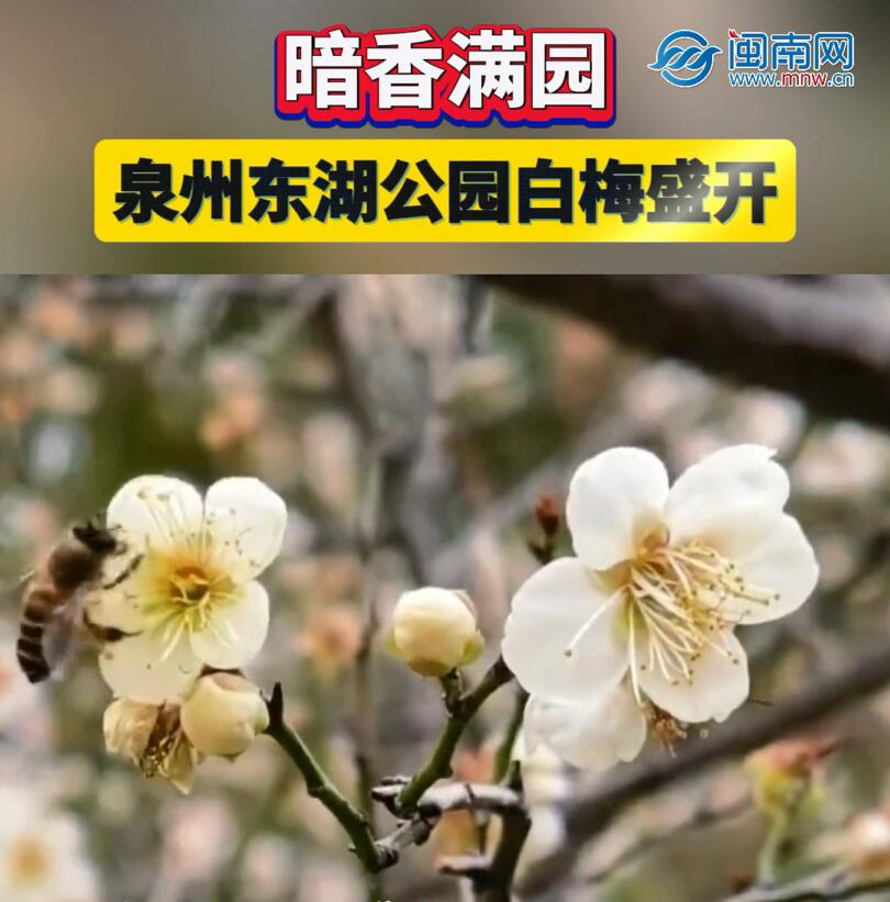 ������԰������ȷ�ֱ����������԰��÷ʢ��