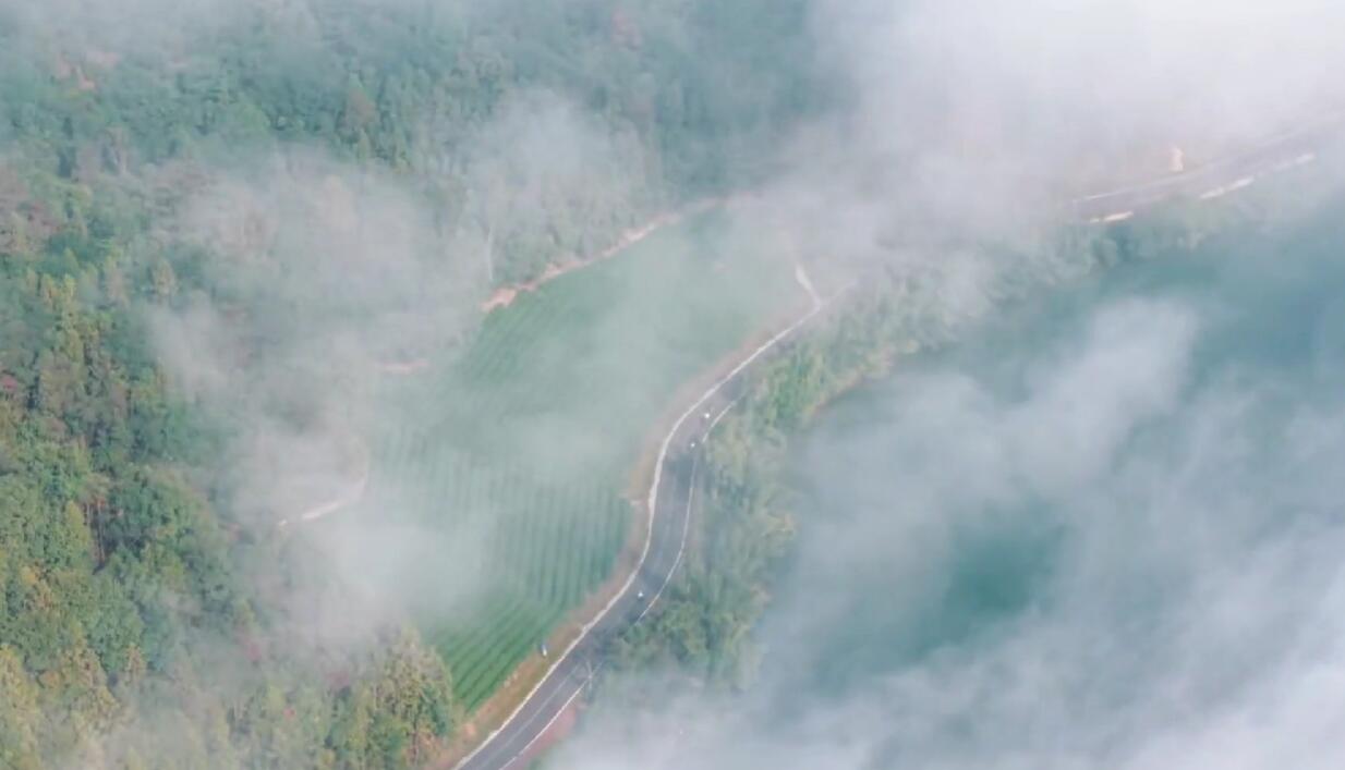 QQ截图20260130211337