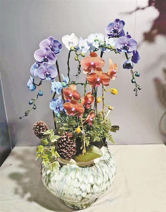 马年近花市渐热 蝴蝶兰仍是年宵花首选 马蹄莲意外成黑马