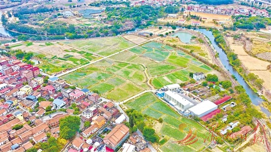 新春走基层丨从“会种地”到“慧种地”