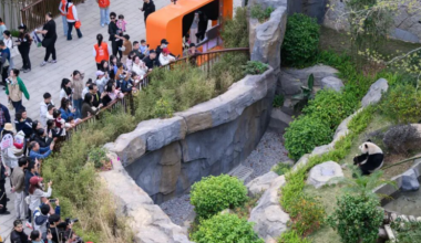 文旅“大餐”开席！邀您马上过个“闽式福年”